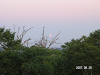 s_PICT0389_thumb.png